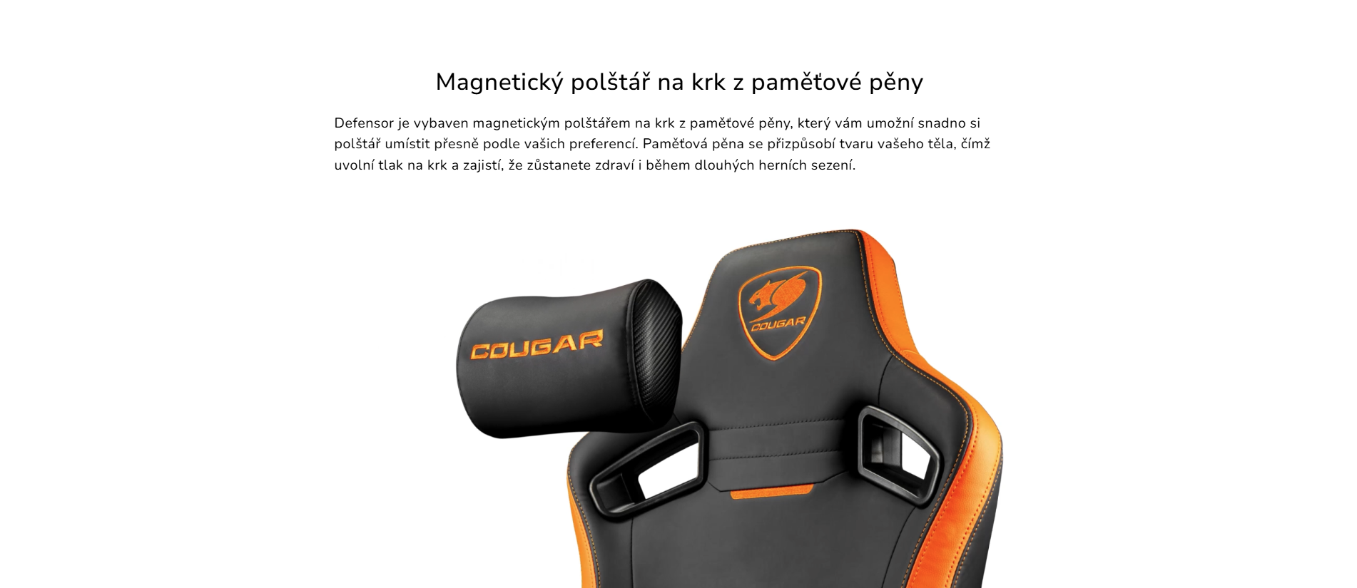 Snímek obrazovky 2026-03-12 114923